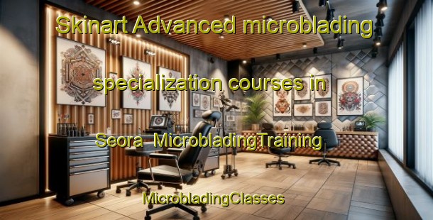 Skinart Advanced microblading specialization courses in Seora | MicrobladingTraining | MicrobladingClasses | SkinartTraining-Korea