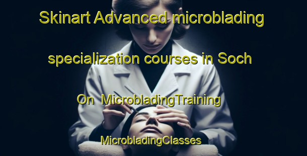 Skinart Advanced microblading specialization courses in Soch On | MicrobladingTraining | MicrobladingClasses | SkinartTraining-Korea
