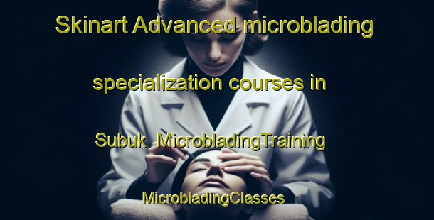 Skinart Advanced microblading specialization courses in Subuk | MicrobladingTraining | MicrobladingClasses | SkinartTraining-Korea