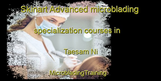 Skinart Advanced microblading specialization courses in Taesam Ni | MicrobladingTraining | MicrobladingClasses | SkinartTraining-Korea