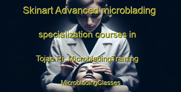 Skinart Advanced microblading specialization courses in Tojae Ri | #MicrobladingTraining #MicrobladingClasses #SkinartTraining-Korea