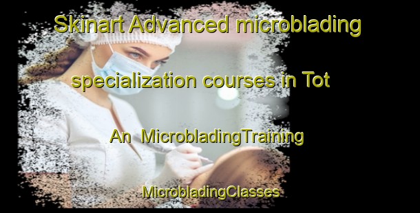 Skinart Advanced microblading specialization courses in Tot An | #MicrobladingTraining #MicrobladingClasses #SkinartTraining-Korea