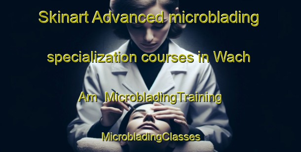 Skinart Advanced microblading specialization courses in Wach Am | #MicrobladingTraining #MicrobladingClasses #SkinartTraining-Korea