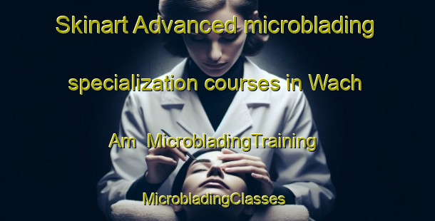 Skinart Advanced microblading specialization courses in Wach Am | MicrobladingTraining | MicrobladingClasses | SkinartTraining-Korea