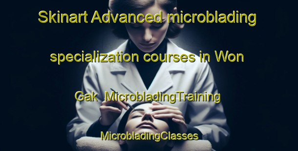 Skinart Advanced microblading specialization courses in Won Gak | #MicrobladingTraining #MicrobladingClasses #SkinartTraining-Korea