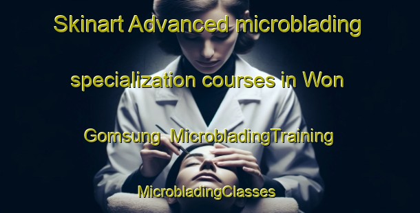 Skinart Advanced microblading specialization courses in Won Gomsung | MicrobladingTraining | MicrobladingClasses | SkinartTraining-Korea