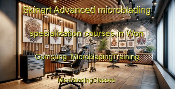 Skinart Advanced microblading specialization courses in Won Gomsung | MicrobladingTraining | MicrobladingClasses | SkinartTraining-Korea