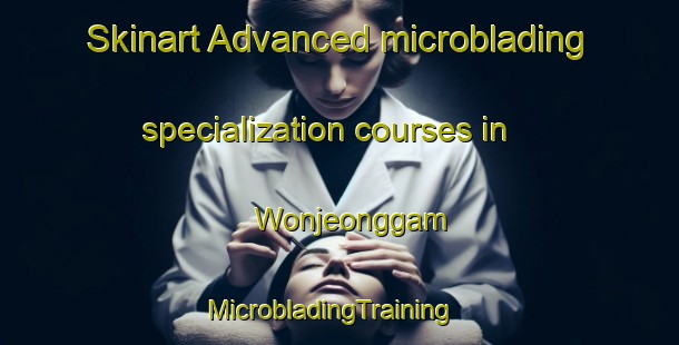 Skinart Advanced microblading specialization courses in Wonjeonggam | MicrobladingTraining | MicrobladingClasses | SkinartTraining-Korea