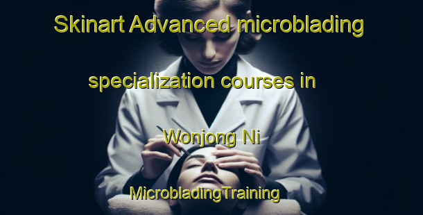 Skinart Advanced microblading specialization courses in Wonjong Ni | MicrobladingTraining | MicrobladingClasses | SkinartTraining-Korea
