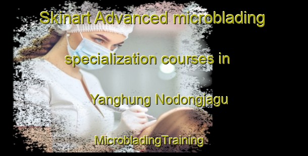 Skinart Advanced microblading specialization courses in Yanghung Nodongjagu | MicrobladingTraining | MicrobladingClasses | SkinartTraining-Korea