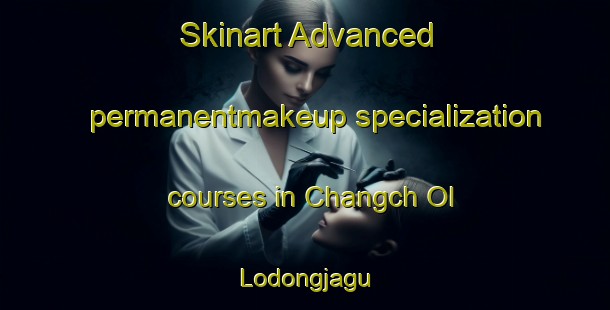 Skinart Advanced permanentmakeup specialization courses in Changch Ol Lodongjagu | #PermanentmakeupTraining #PermanentmakeupClasses #SkinartTraining-Korea