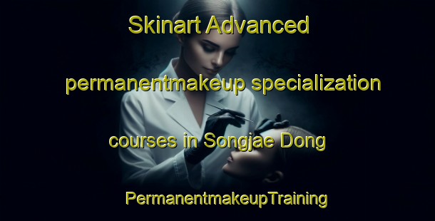 Skinart Advanced permanentmakeup specialization courses in Songjae Dong | #PermanentmakeupTraining #PermanentmakeupClasses #SkinartTraining-Korea