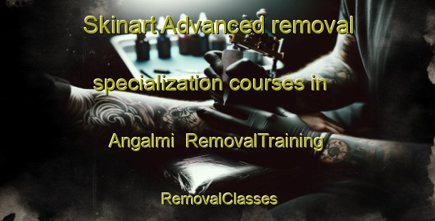 Skinart Advanced removal specialization courses in Angalmi | RemovalTraining | RemovalClasses | SkinartTraining-Korea