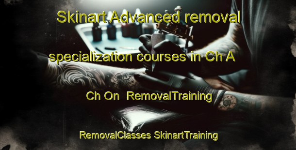 Skinart Advanced removal specialization courses in Ch A Ch On | #RemovalTraining #RemovalClasses #SkinartTraining-Korea