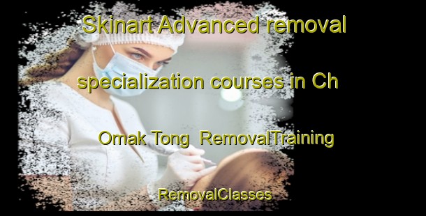 Skinart Advanced removal specialization courses in Ch Omak Tong | RemovalTraining | RemovalClasses | SkinartTraining-Korea
