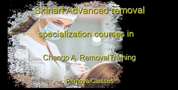 Skinart Advanced removal specialization courses in Changp A | RemovalTraining | RemovalClasses | SkinartTraining-Korea
