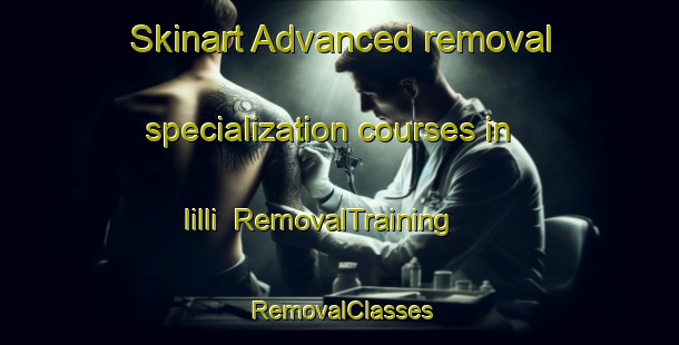 Skinart Advanced removal specialization courses in Iilli | RemovalTraining | RemovalClasses | SkinartTraining-Korea