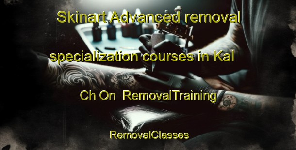 Skinart Advanced removal specialization courses in Kal Ch On | RemovalTraining | RemovalClasses | SkinartTraining-Korea