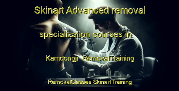 Skinart Advanced removal specialization courses in Kamdongji | #RemovalTraining #RemovalClasses #SkinartTraining-Korea