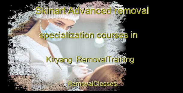Skinart Advanced removal specialization courses in Kiryang | RemovalTraining | RemovalClasses | SkinartTraining-Korea