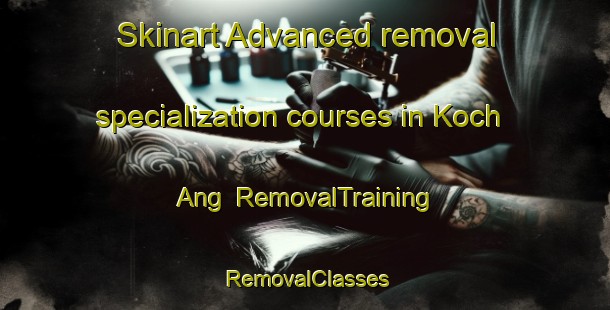 Skinart Advanced removal specialization courses in Koch Ang | RemovalTraining | RemovalClasses | SkinartTraining-Korea