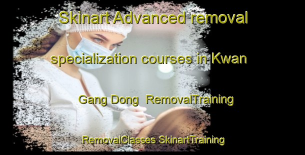 Skinart Advanced removal specialization courses in Kwan Gang Dong | #RemovalTraining #RemovalClasses #SkinartTraining-Korea