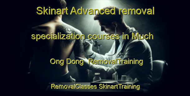 Skinart Advanced removal specialization courses in Much Ong Dong | #RemovalTraining #RemovalClasses #SkinartTraining-Korea