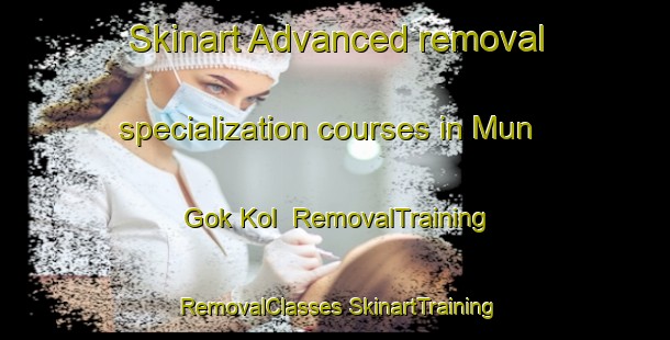 Skinart Advanced removal specialization courses in Mun Gok Kol | #RemovalTraining #RemovalClasses #SkinartTraining-Korea