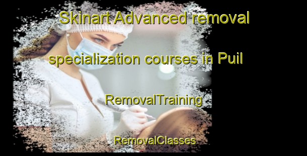 Skinart Advanced removal specialization courses in Puil | RemovalTraining | RemovalClasses | SkinartTraining-Korea