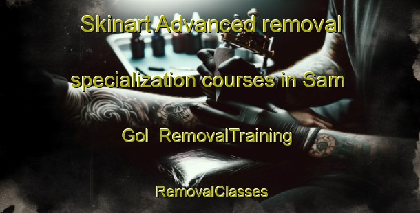 Skinart Advanced removal specialization courses in Sam Gol | RemovalTraining | RemovalClasses | SkinartTraining-Korea
