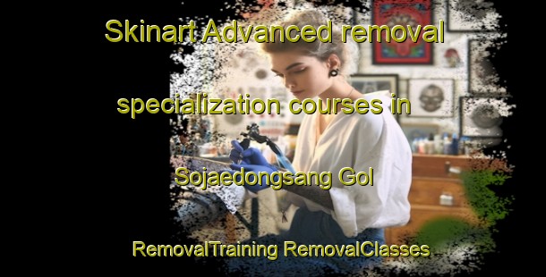 Skinart Advanced removal specialization courses in Sojaedongsang Gol | #RemovalTraining #RemovalClasses #SkinartTraining-Korea