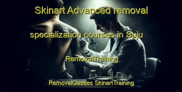 Skinart Advanced removal specialization courses in Suju | #RemovalTraining #RemovalClasses #SkinartTraining-Korea