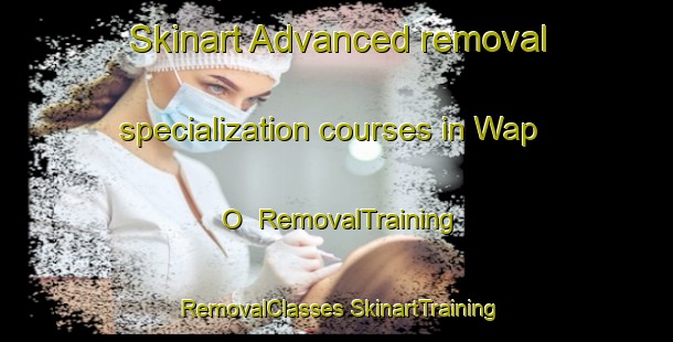 Skinart Advanced removal specialization courses in Wap O | #RemovalTraining #RemovalClasses #SkinartTraining-Korea