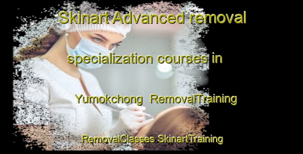 Skinart Advanced removal specialization courses in Yumokchong | #RemovalTraining #RemovalClasses #SkinartTraining-Korea