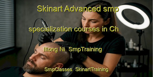 Skinart Advanced smp specialization courses in Ch Iltong Ni | SmpTraining | SmpClasses | SkinartTraining-Korea
