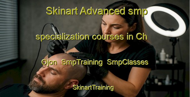 Skinart Advanced smp specialization courses in Ch Ojon | SmpTraining | SmpClasses | SkinartTraining-Korea