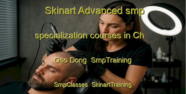 Skinart Advanced smp specialization courses in Ch Oso Dong | SmpTraining | SmpClasses | SkinartTraining-Korea