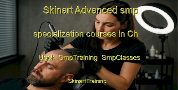 Skinart Advanced smp specialization courses in Ch Ugok | SmpTraining | SmpClasses | SkinartTraining-Korea