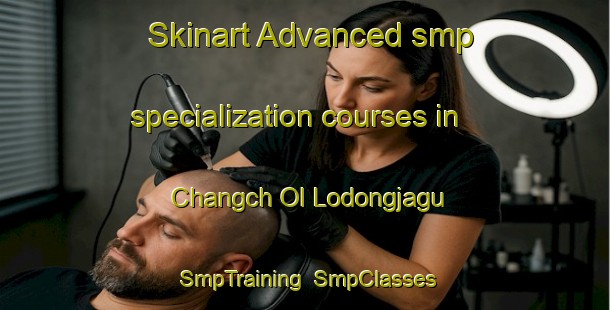 Skinart Advanced smp specialization courses in Changch Ol Lodongjagu | SmpTraining | SmpClasses | SkinartTraining-Korea