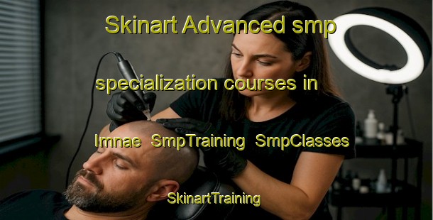 Skinart Advanced smp specialization courses in Imnae | SmpTraining | SmpClasses | SkinartTraining-Korea
