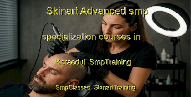 Skinart Advanced smp specialization courses in Koraedul | SmpTraining | SmpClasses | SkinartTraining-Korea