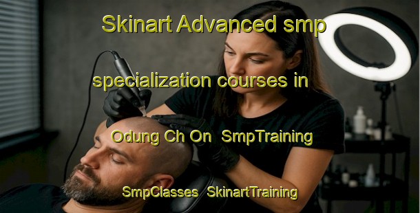 Skinart Advanced smp specialization courses in Odung Ch On | SmpTraining | SmpClasses | SkinartTraining-Korea