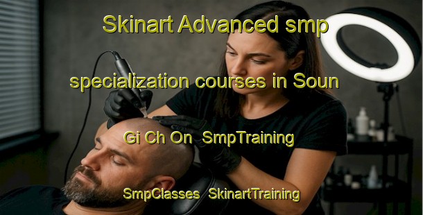 Skinart Advanced smp specialization courses in Soun Gi Ch On | SmpTraining | SmpClasses | SkinartTraining-Korea