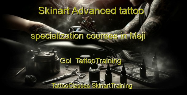 Skinart Advanced tattoo specialization courses in Meji Gol | #TattooTraining #TattooClasses #SkinartTraining-Korea