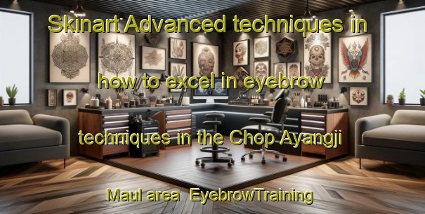 Skinart Advanced techniques in how to excel in eyebrow techniques in the Chop Ayangji Maul area | EyebrowTraining | EyebrowClasses | SkinartTraining-Korea