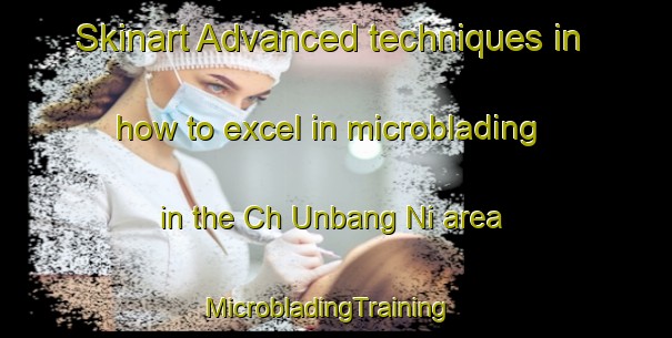 Skinart Advanced techniques in how to excel in microblading in the Ch Unbang Ni area | MicrobladingTraining | MicrobladingClasses | SkinartTraining-Korea