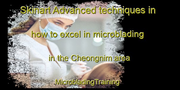 Skinart Advanced techniques in how to excel in microblading in the Cheongnim area | MicrobladingTraining | MicrobladingClasses | SkinartTraining-Korea