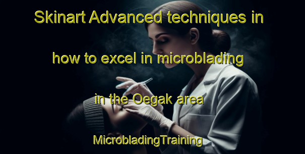 Skinart Advanced techniques in how to excel in microblading in the Oegak area | MicrobladingTraining | MicrobladingClasses | SkinartTraining-Korea