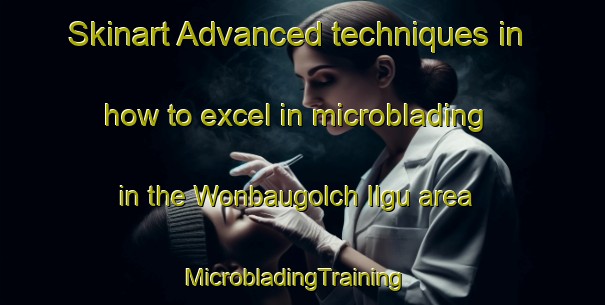 Skinart Advanced techniques in how to excel in microblading in the Wonbaugolch Ilgu area | MicrobladingTraining | MicrobladingClasses | SkinartTraining-Korea
