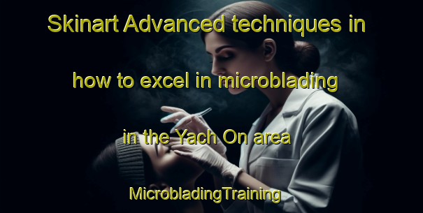 Skinart Advanced techniques in how to excel in microblading in the Yach On area | MicrobladingTraining | MicrobladingClasses | SkinartTraining-Korea